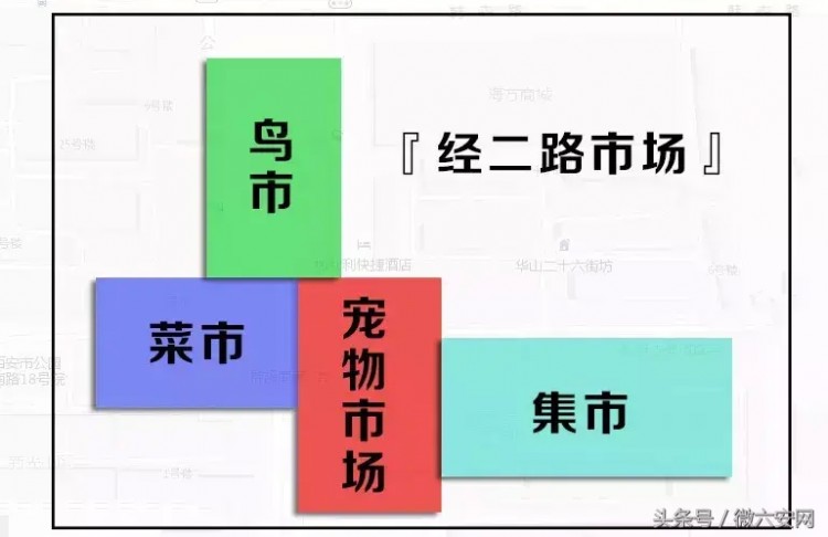 逛西安最大的露天宠物市场，有不能说的秘密！