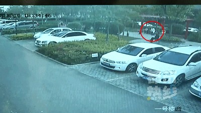 西安1岁女童小区内遭宠物狗扑咬，被诊断为狂犬病Ⅲ级暴露！事发当时......