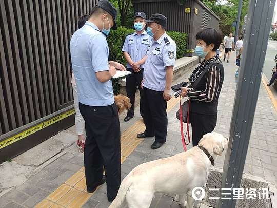 西安开展犬类整治行动！狗狗随地大便不清理的，最高罚款200元