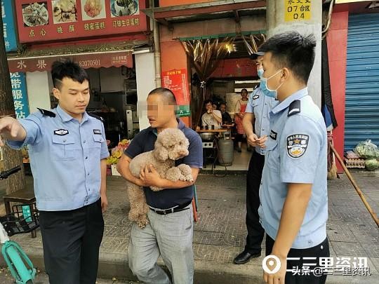 西安“铲屎官”注意！无证养犬被查了莫慌，做到这四步就可领回爱犬