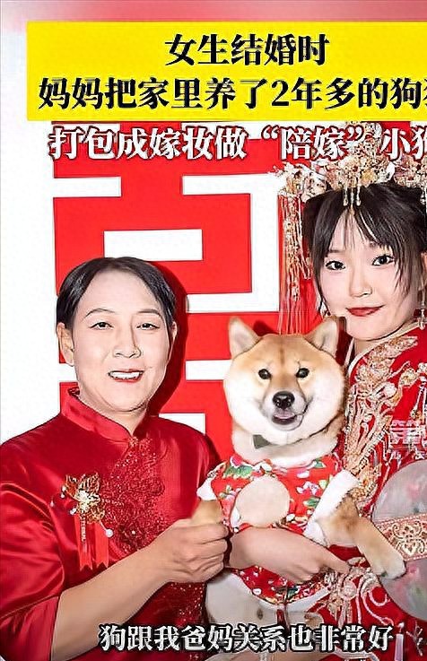 陕西西安：妈妈将爱犬打包成女儿嫁妆，网友热议“狗狗陪嫁”