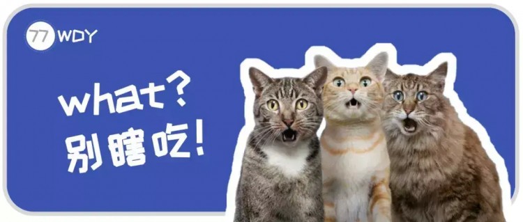 网友：猫咪对男友的拖鞋情有独钟，这奇怪的癖好正常吗？