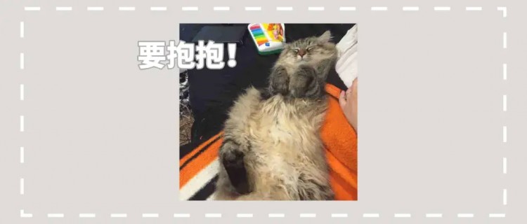 猫咪从来不亲近女主人，某天却突然开始撒娇卖萌，真相好暖心