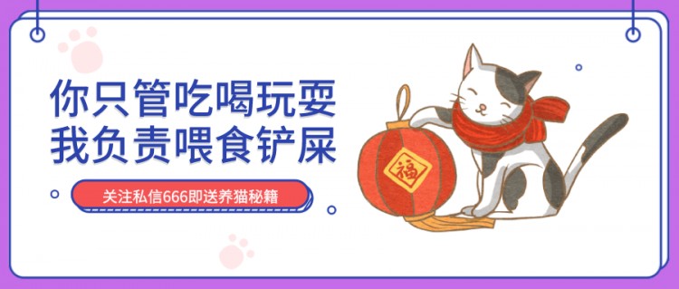 猫是怎样看待人类模仿它们的声音的？