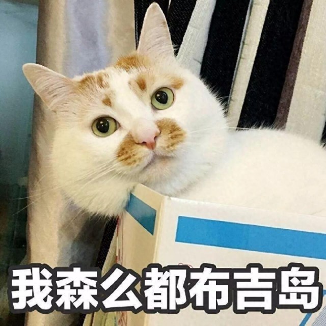 哭诉：养猫10个月，我出现了这几种“病”，太可怕了！