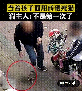 男子当着孩子的面用砖头拍死小猫！监控记录残忍过程